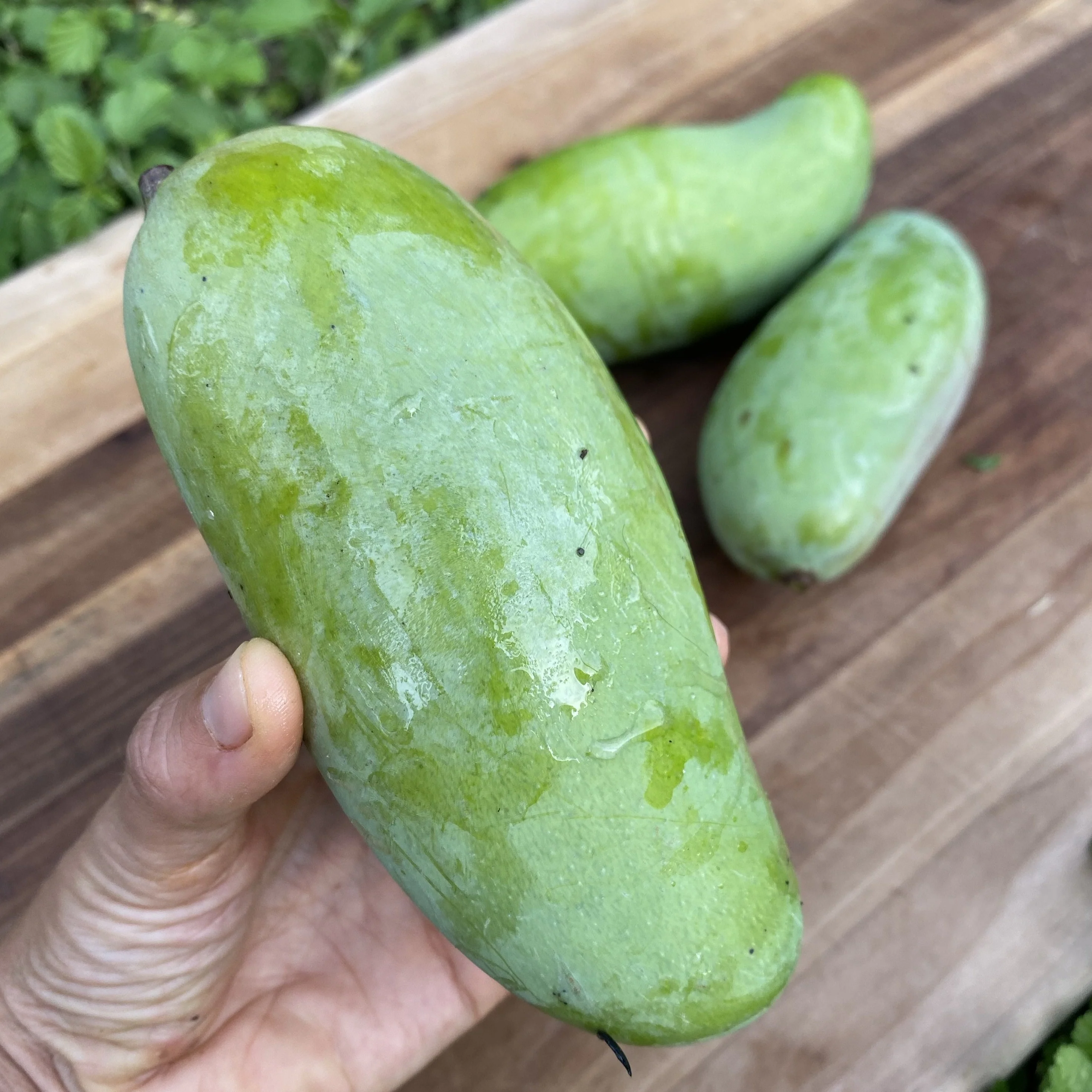 Mahachanok Mango *Pre-Order* - Image 3