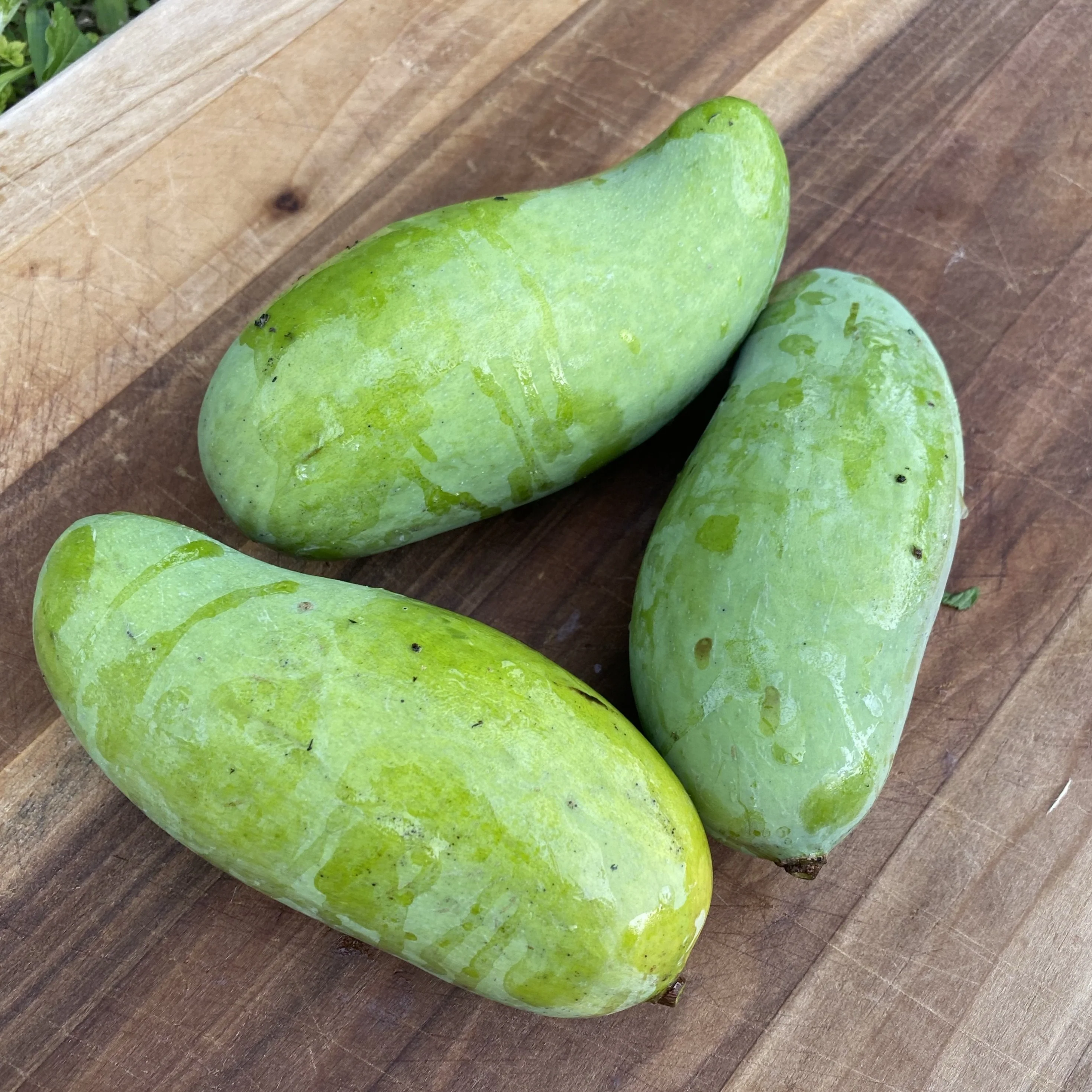 Mahachanok Mango *Pre-Order* - Image 4
