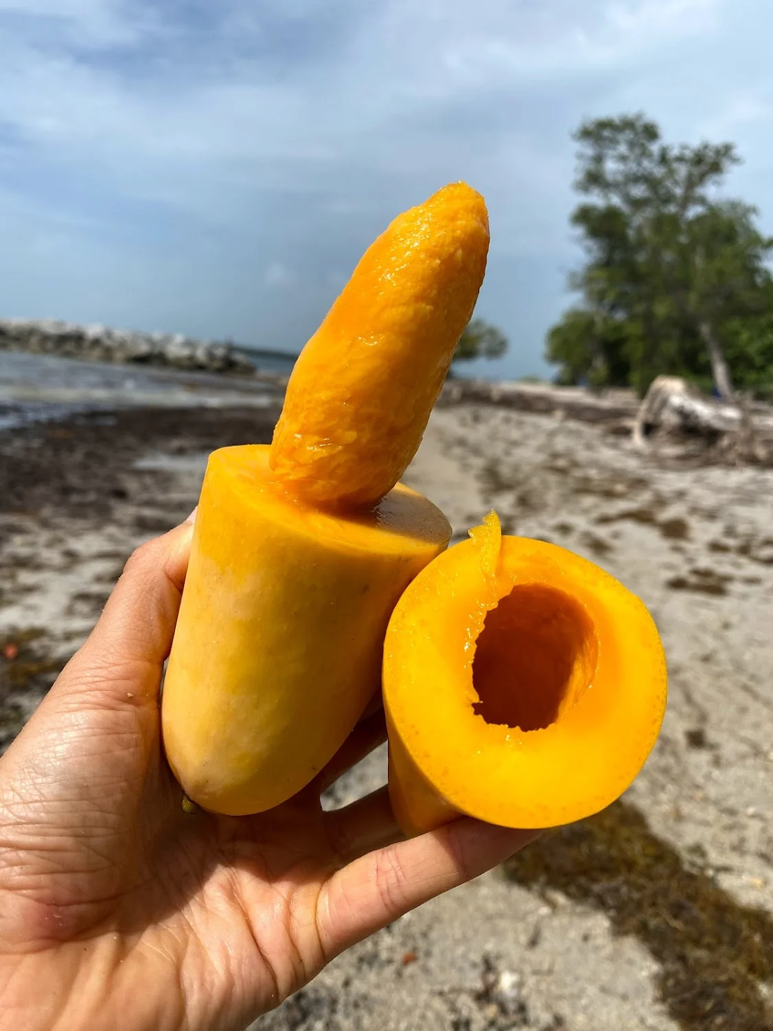 Mahachanok Mango *Pre-Order* - Image 5
