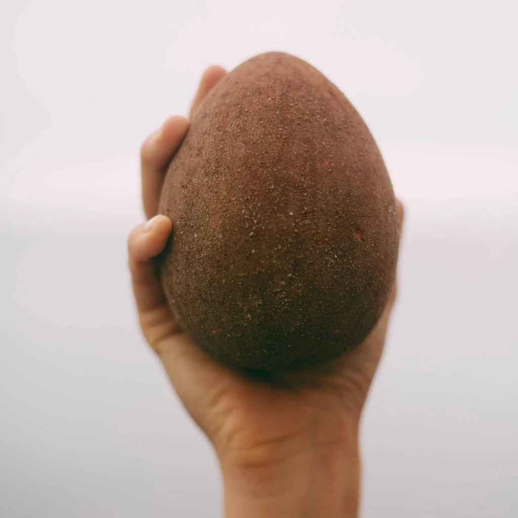 Mamey Sapote - Image 12
