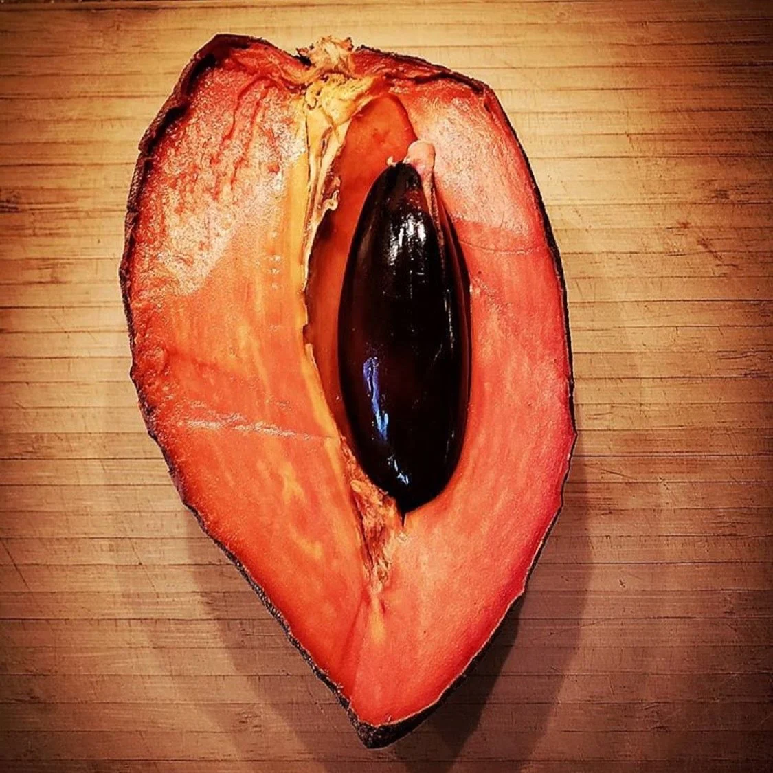 Mamey Sapote - Image 19