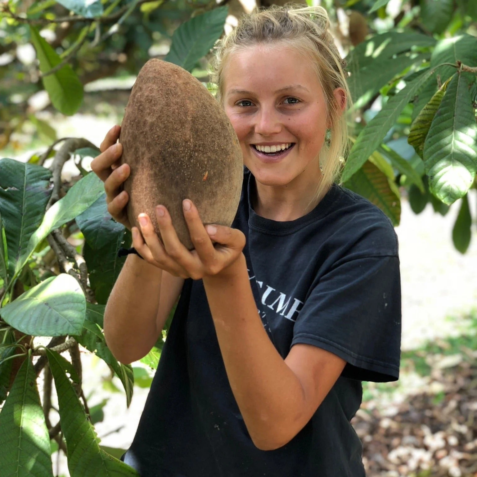 Mamey Sapote - Image 21