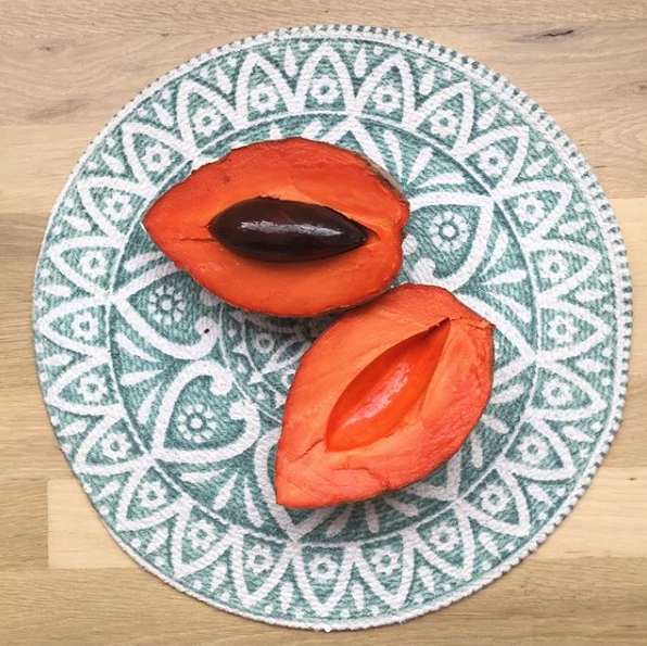 Mamey Sapote - Image 26