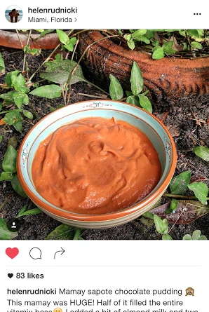 Mamey Sapote - Image 34
