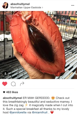 Mamey Sapote - Image 35