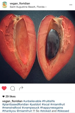 Mamey Sapote - Image 36