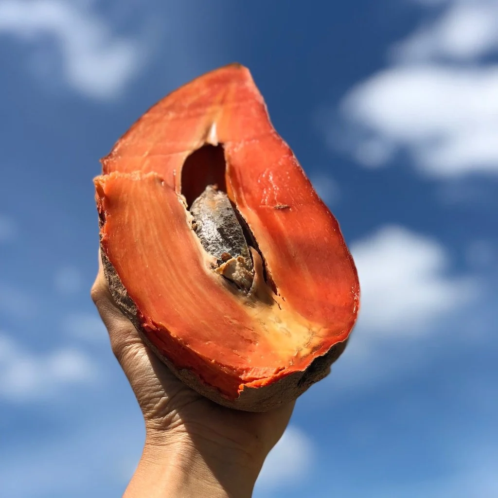 Mamey Sapote - Image 9