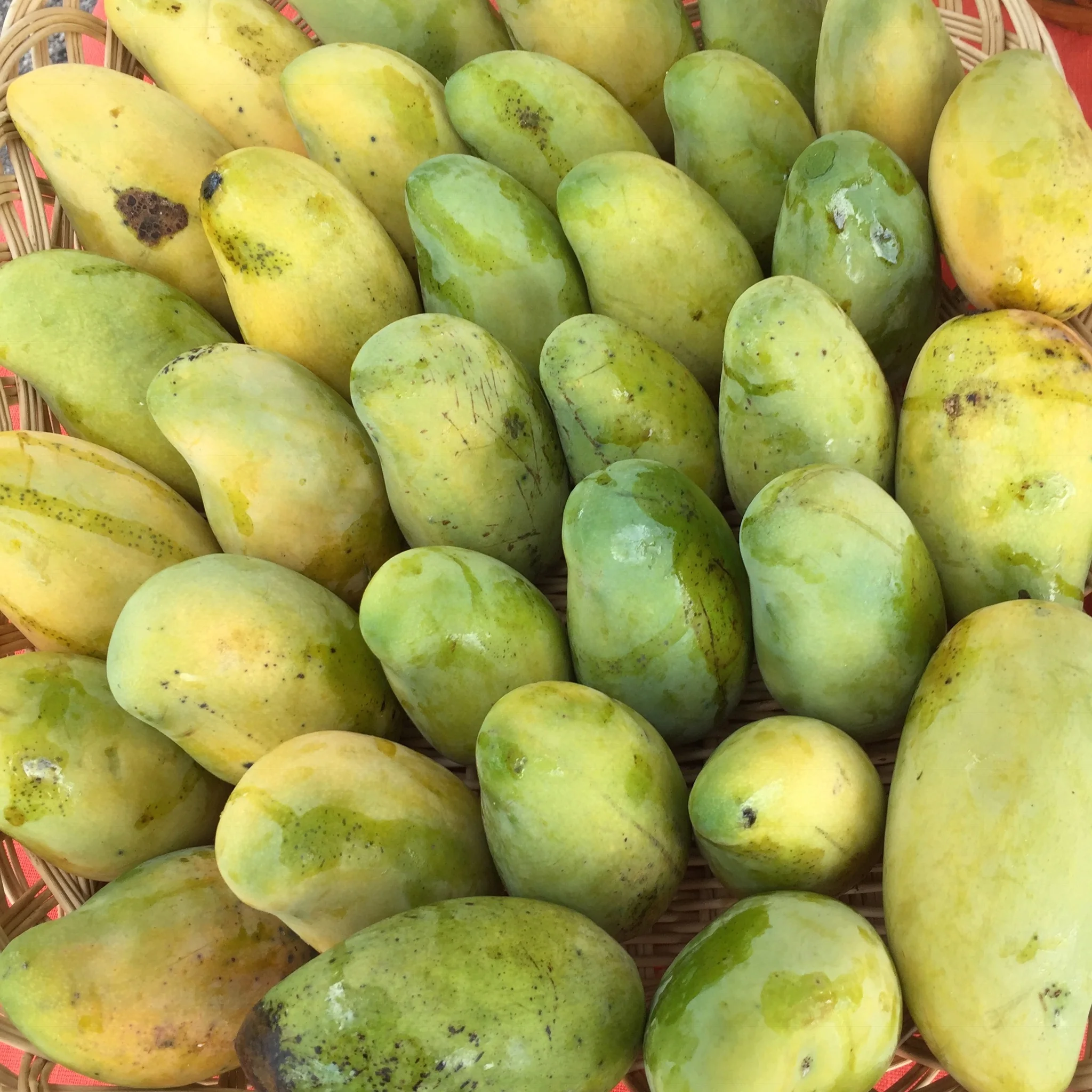 Mango Mix Box - Image 15