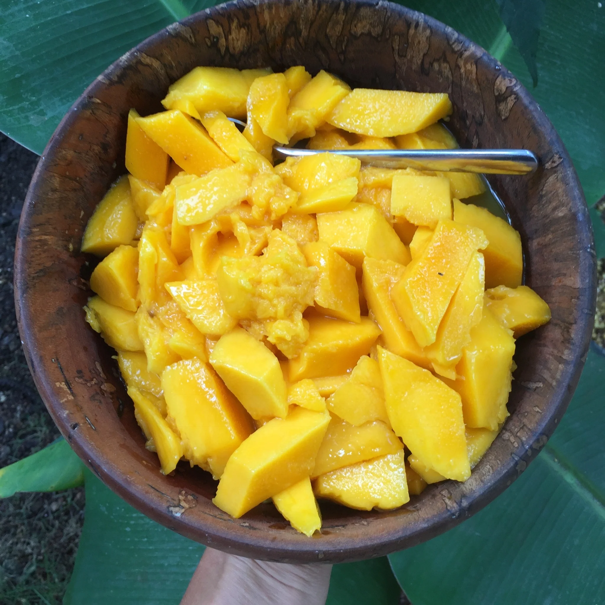 Mango Mix Box - Image 16