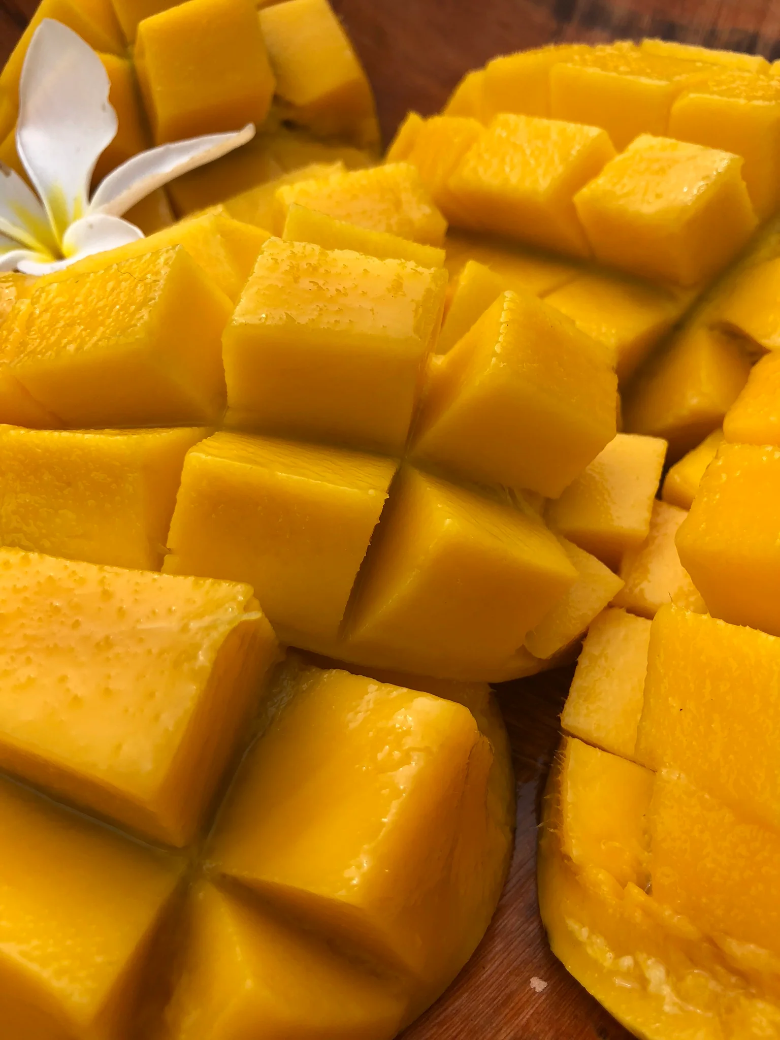 Mango Mix Box - Image 19