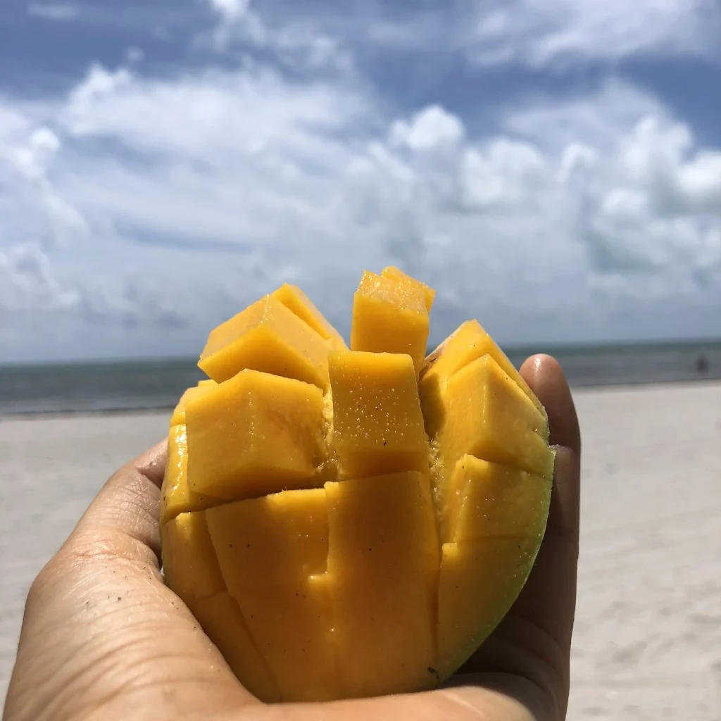 Mango Mix Box - Image 21