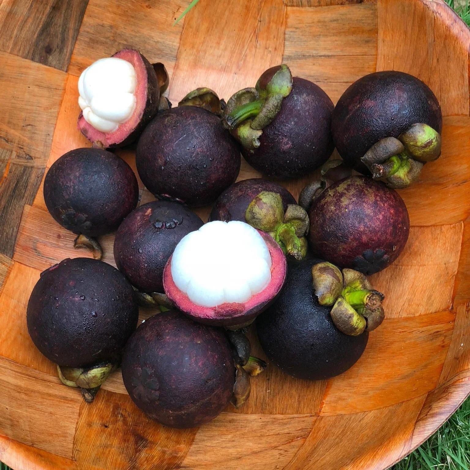 Mangosteen - Image 13