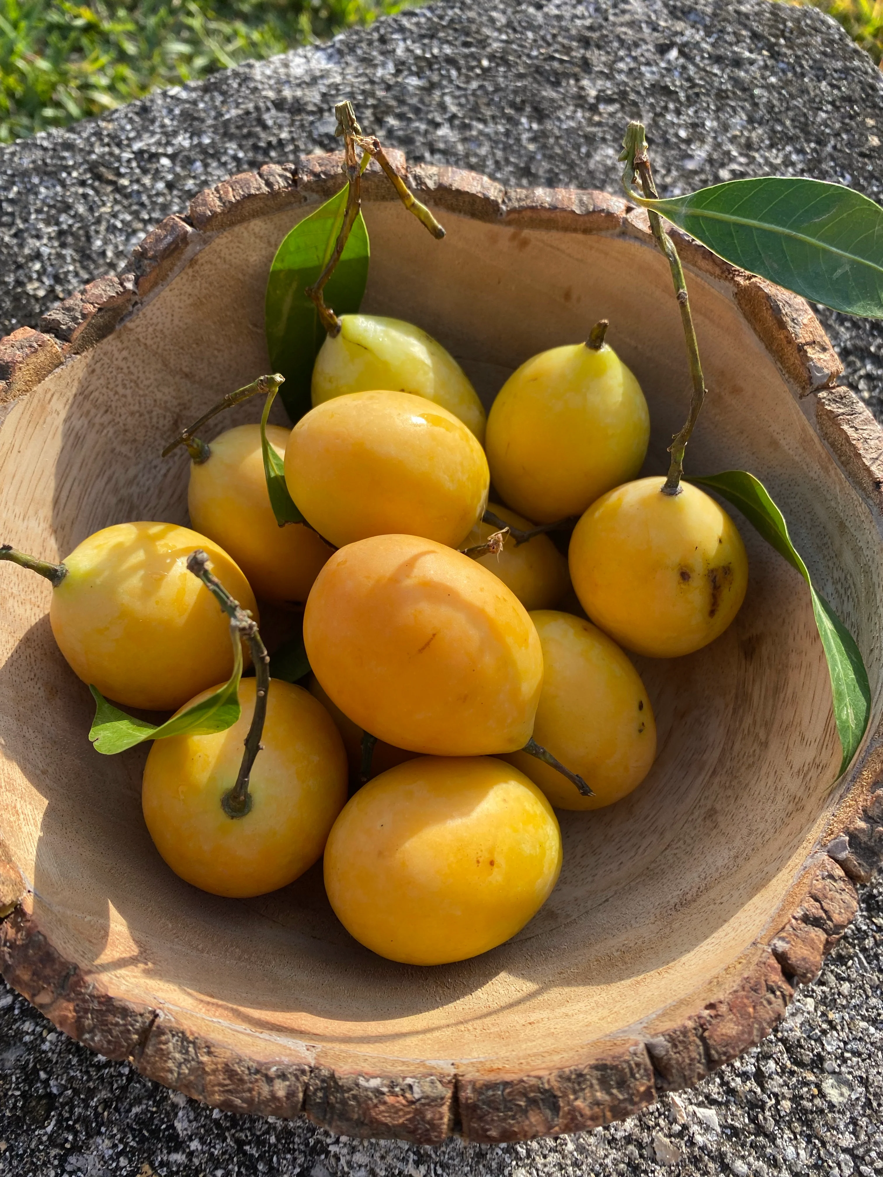 Maprang (Mango Plum) *Pre-Order* - Image 7