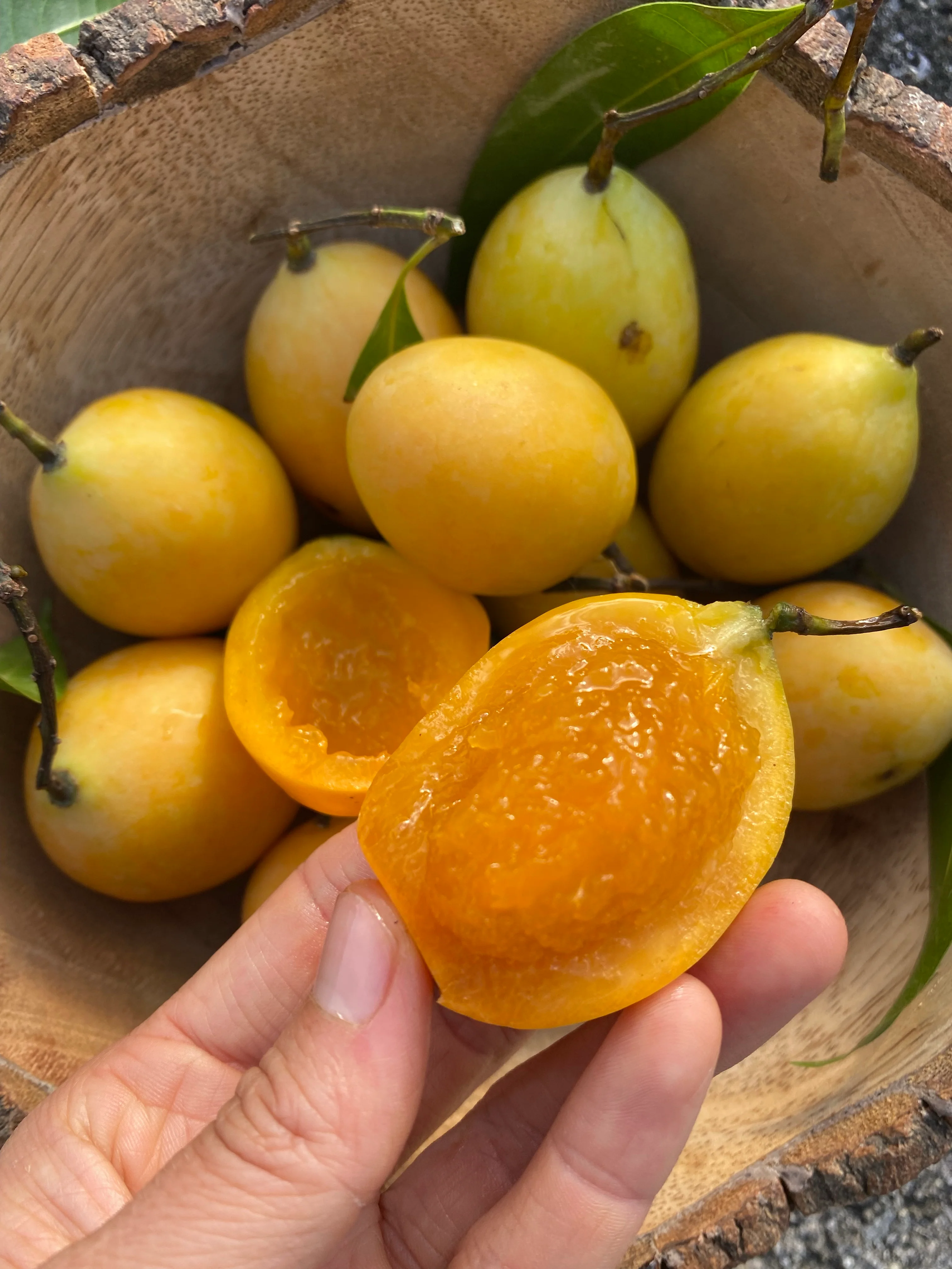 Maprang (Mango Plum) *Pre-Order* - Image 8