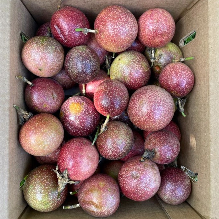 Purple/Pink Passionfruit (Lilikoi) - Image 23