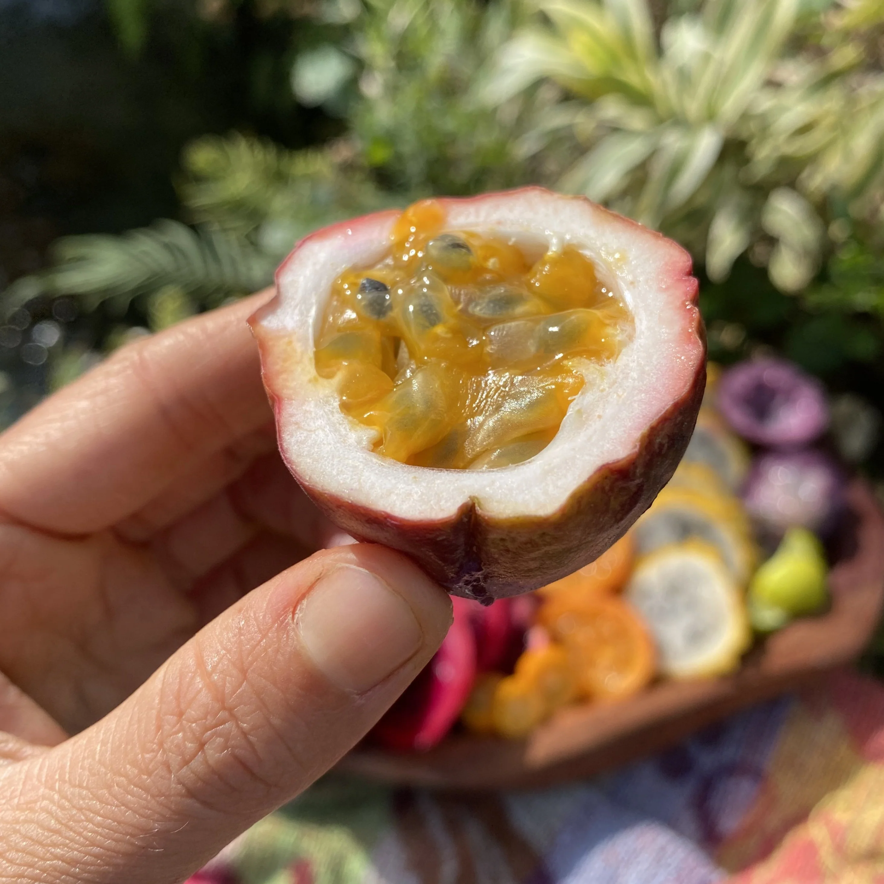 Purple/Pink Passionfruit (Lilikoi) - Image 6