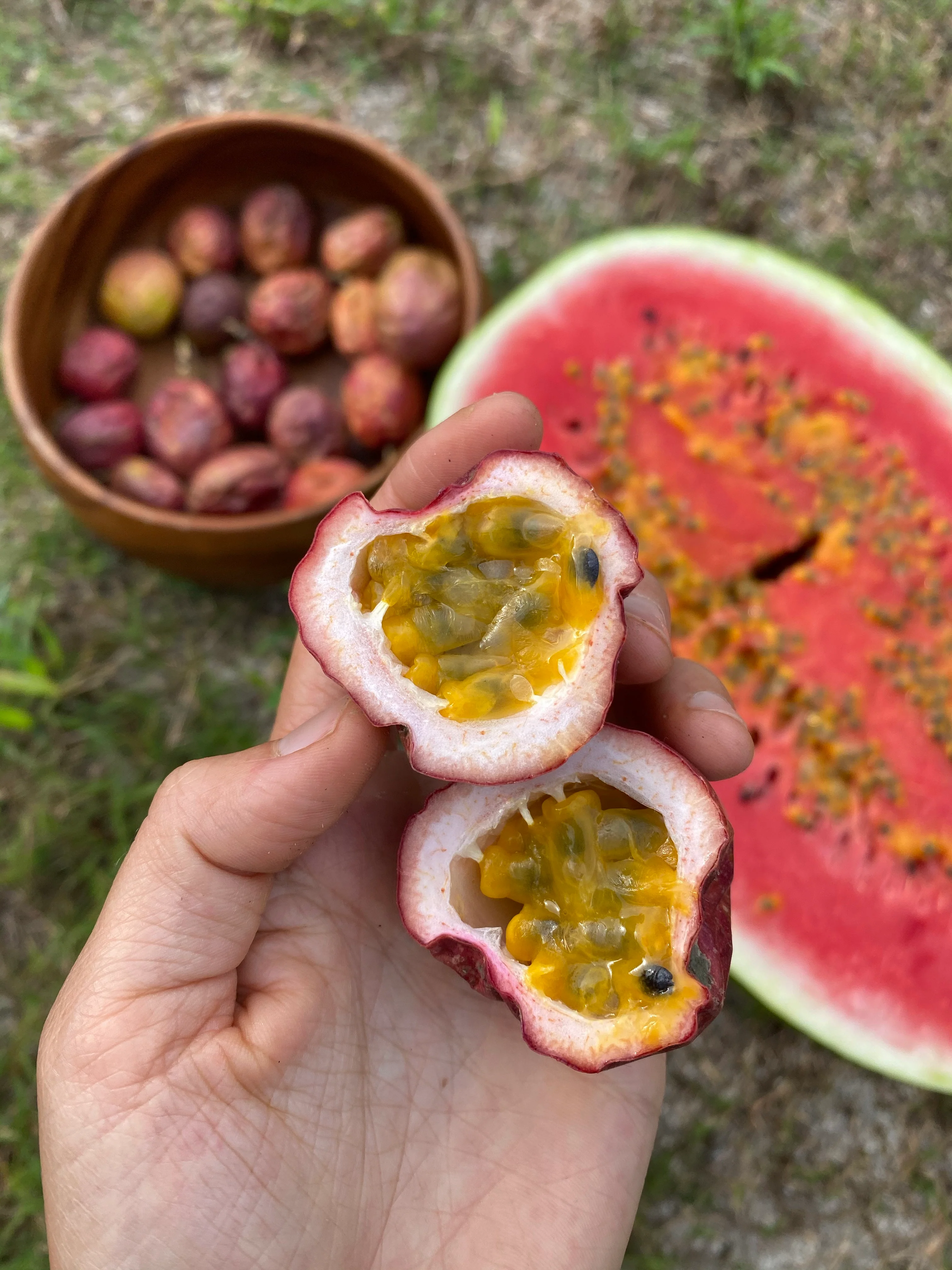 Purple/Pink Passionfruit (Lilikoi) - Image 9