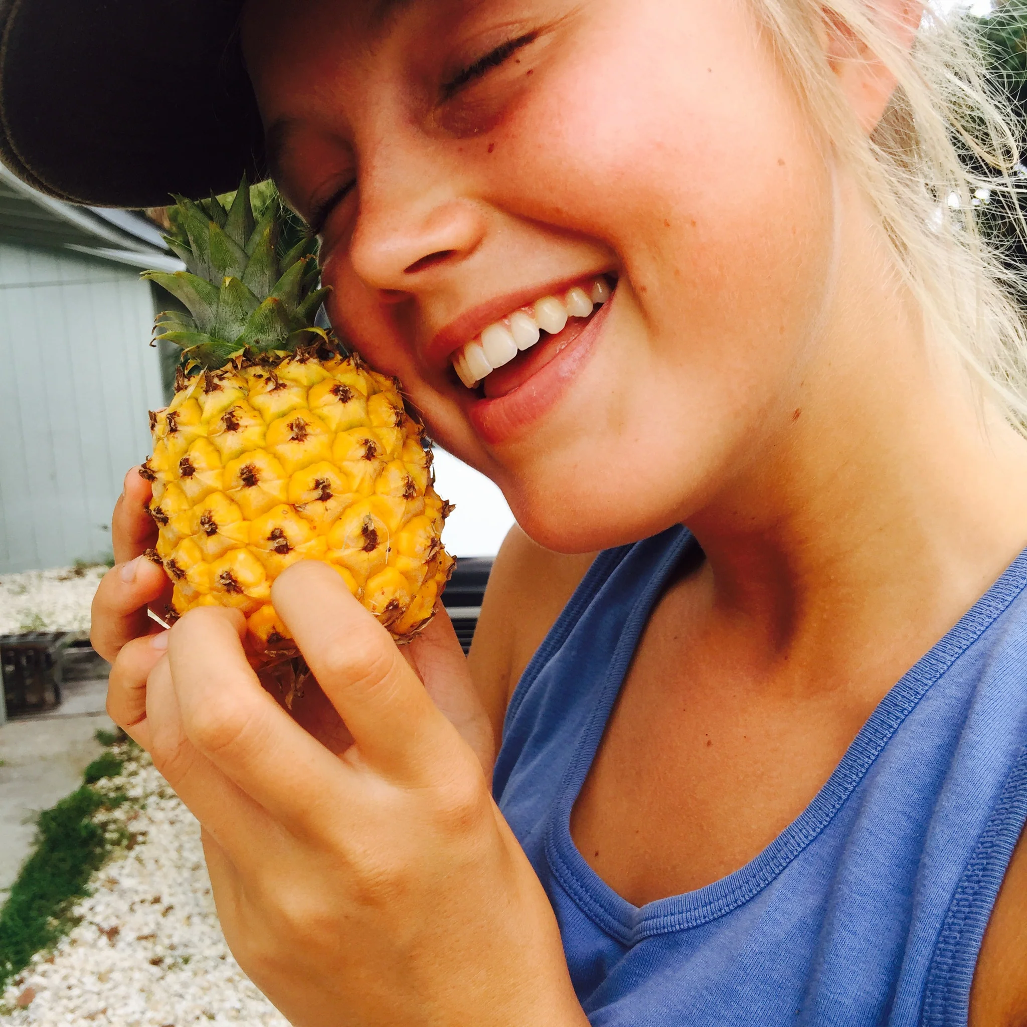 Pineapple - Image 26