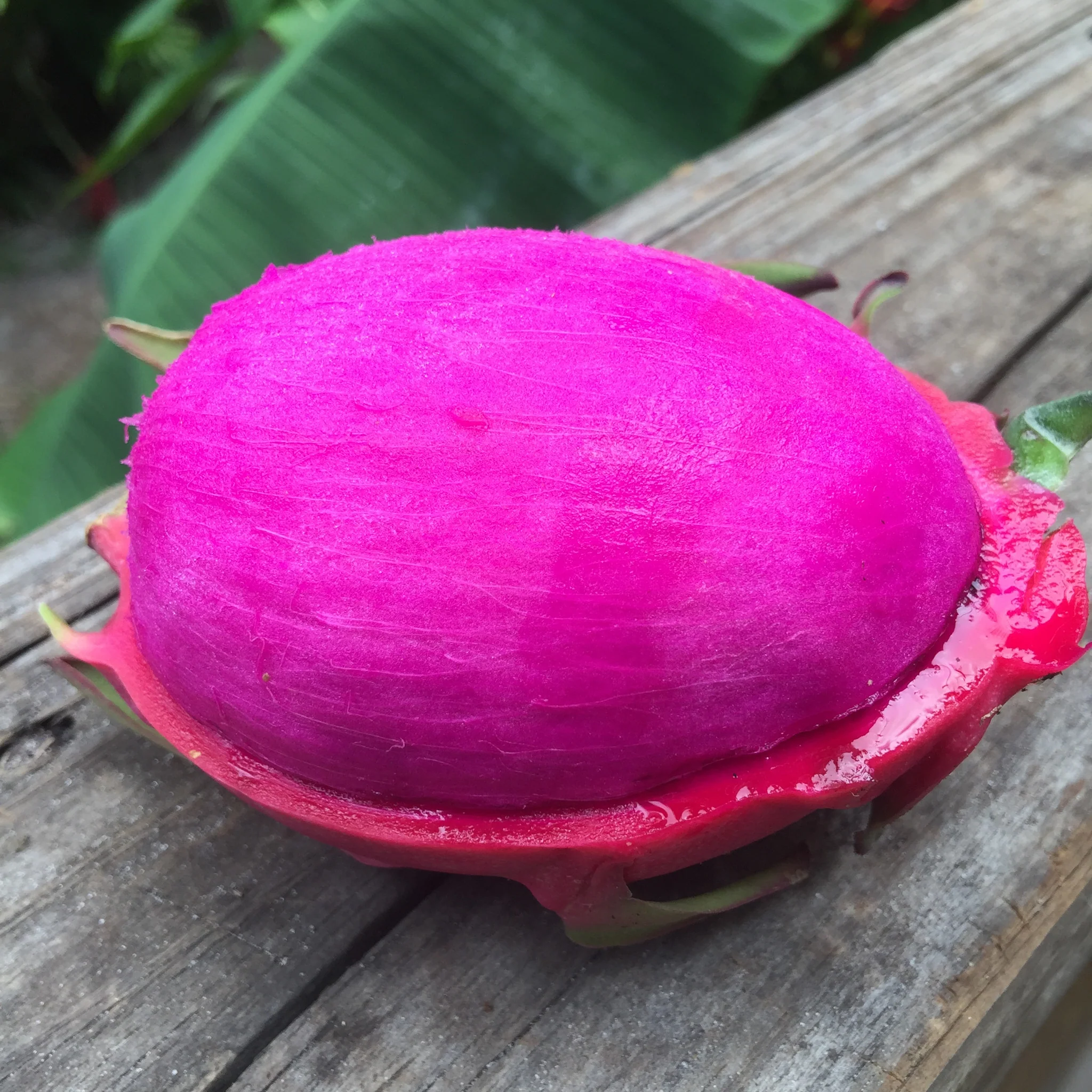 Red Dragonfruit (Pitaya) - Image 12