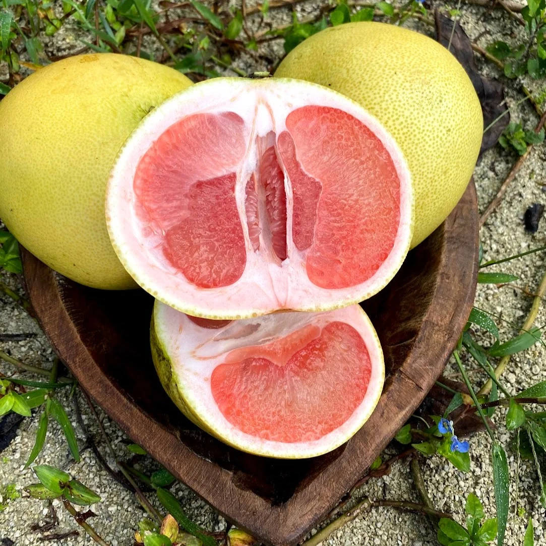 Pomelo *Pre-Order* - Image 7