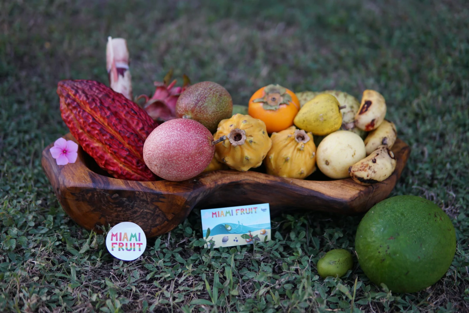 Premium Variety Box - Image 13