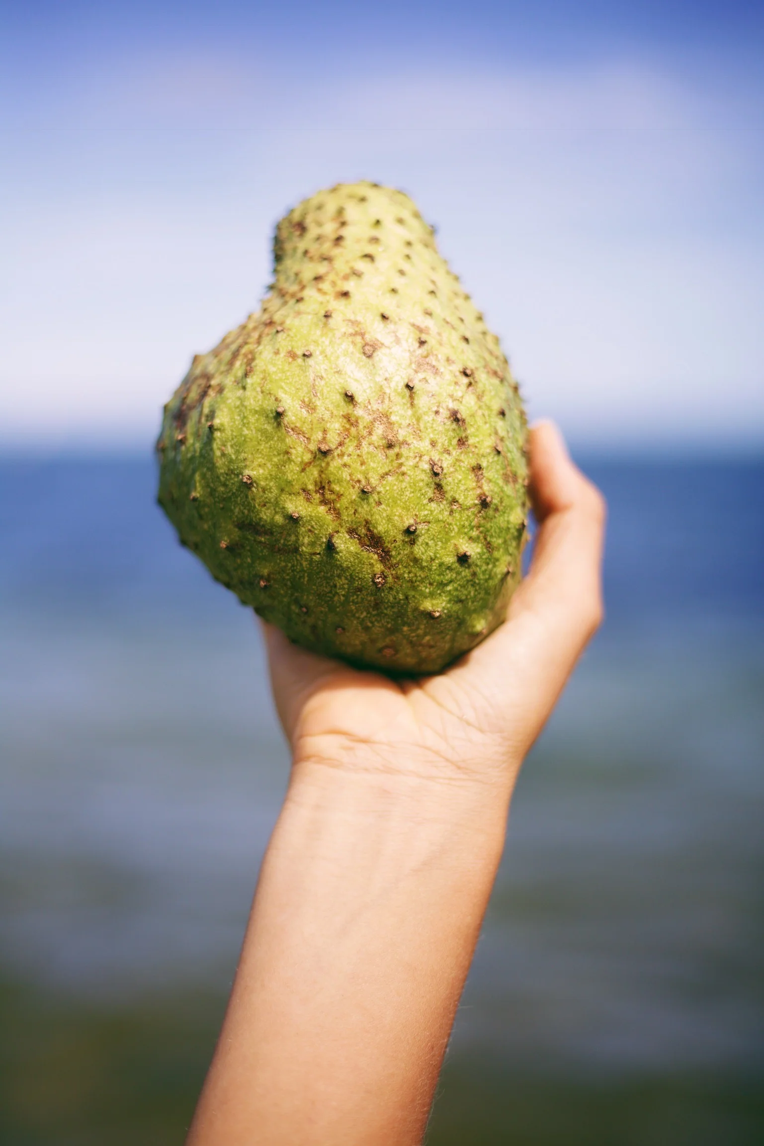Premium Soursop (Guanabana) - Image 19