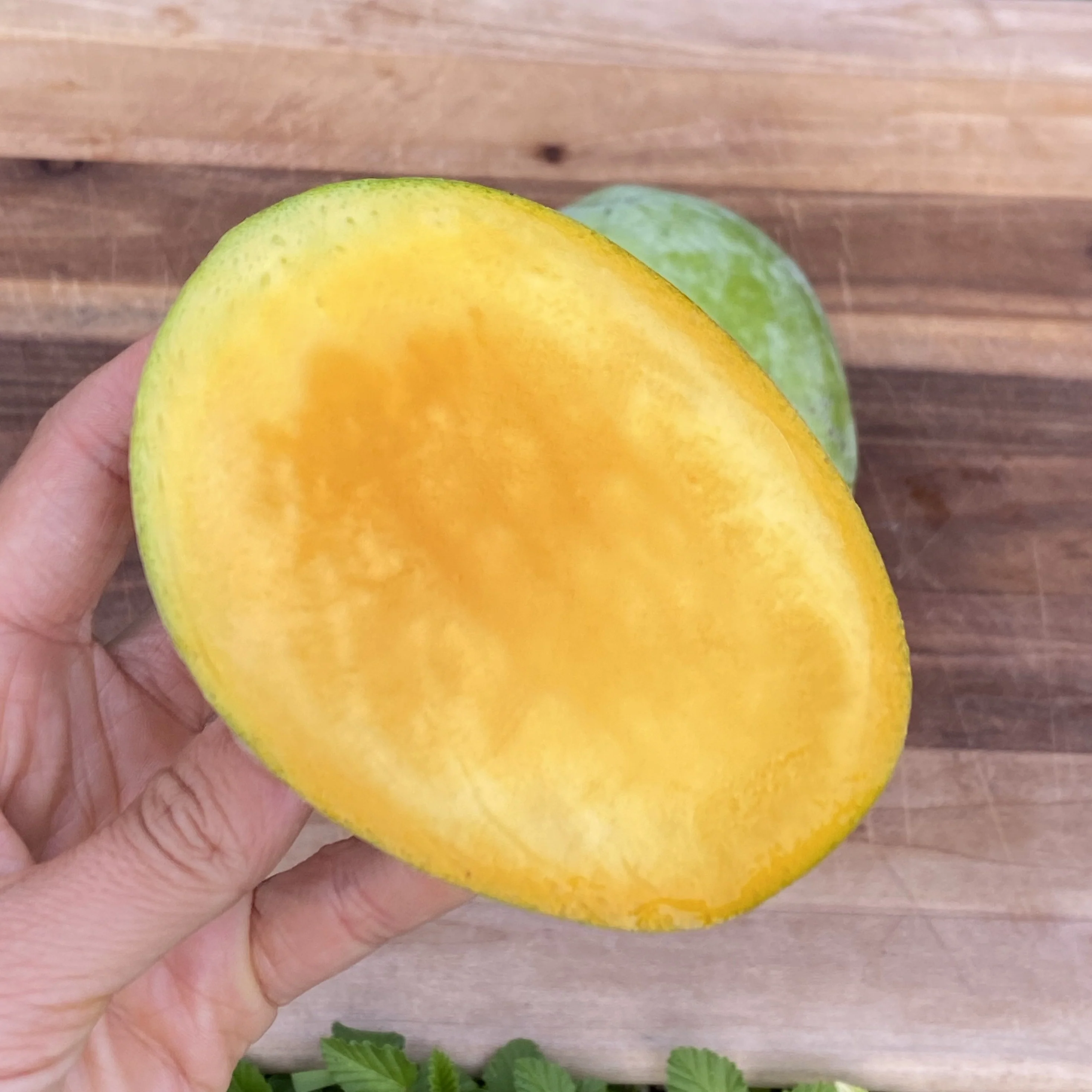 Sugarloaf Mango *Pre-Order* - Image 2