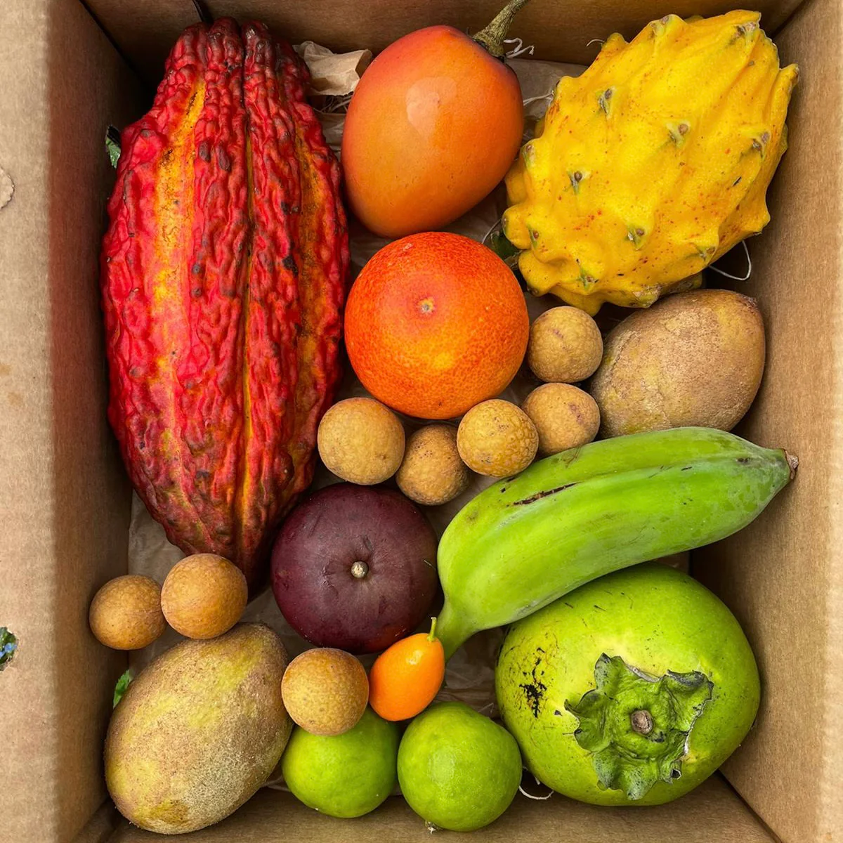 Variety Box - Image 11