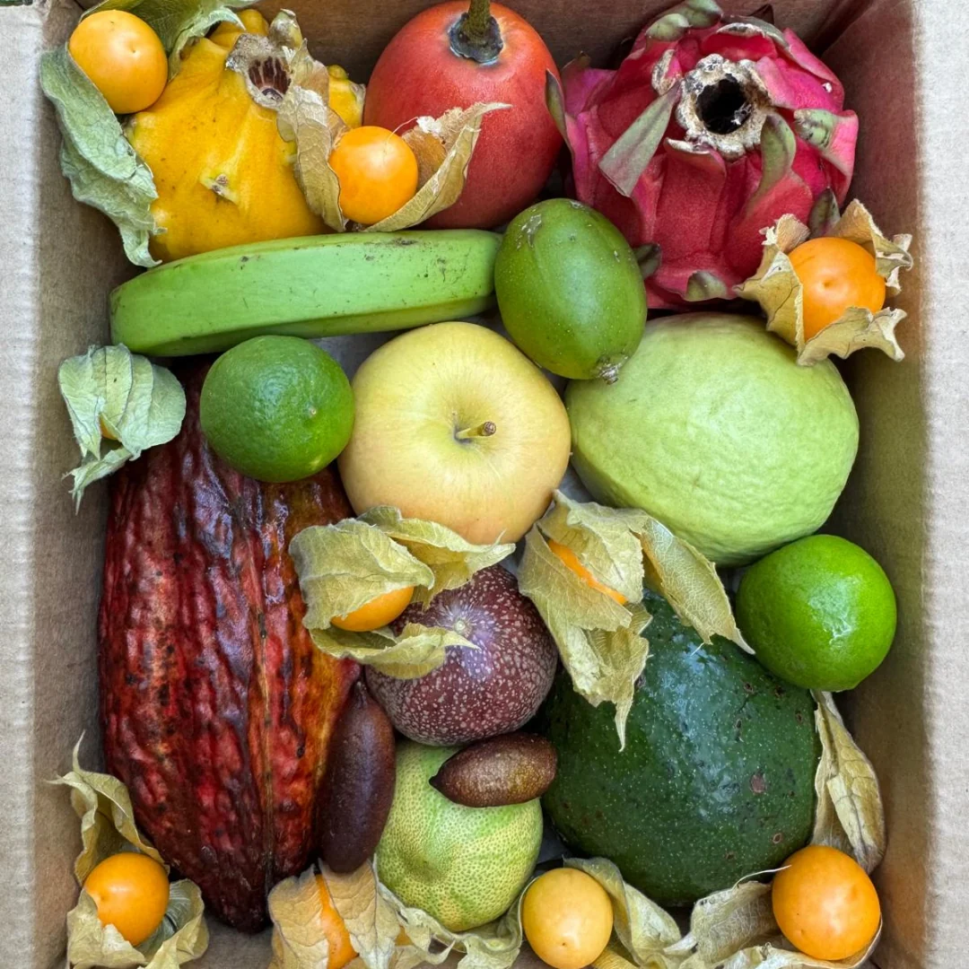 Variety Box - Image 12