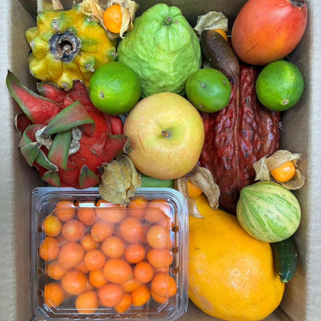 Variety Box - Image 13