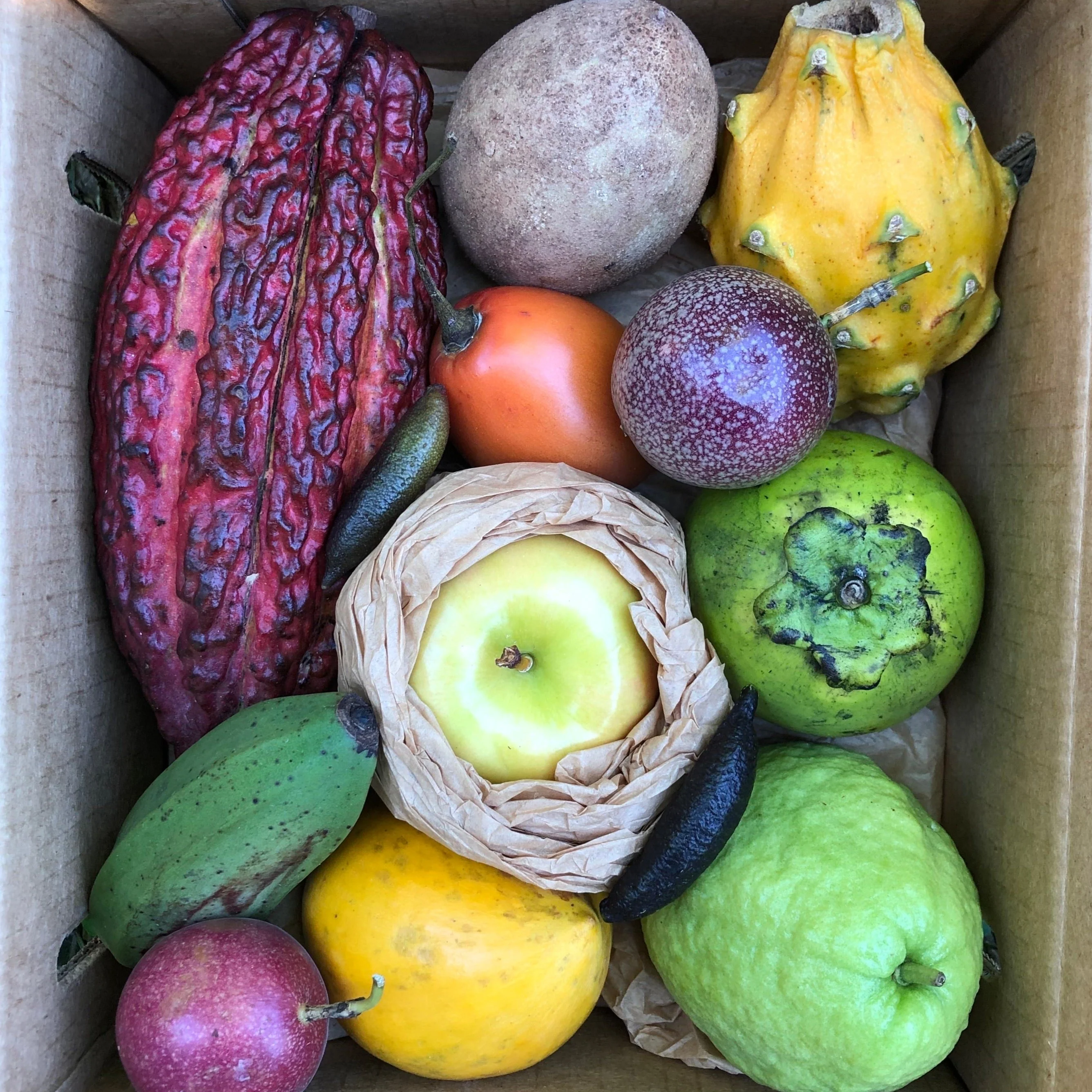 Variety Box - Image 14