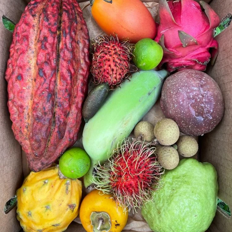Variety Box - Image 15