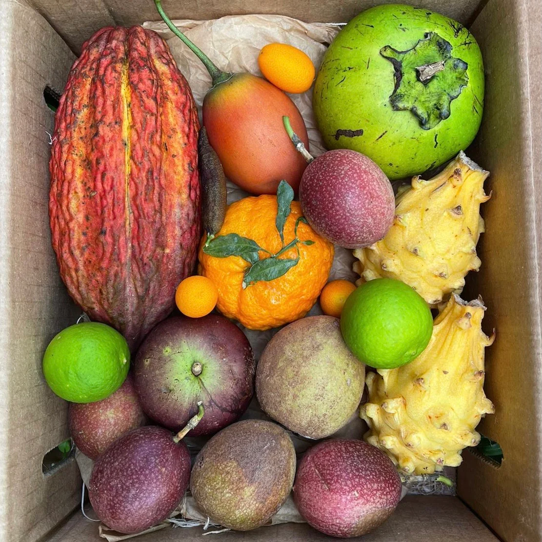 Variety Box - Image 16