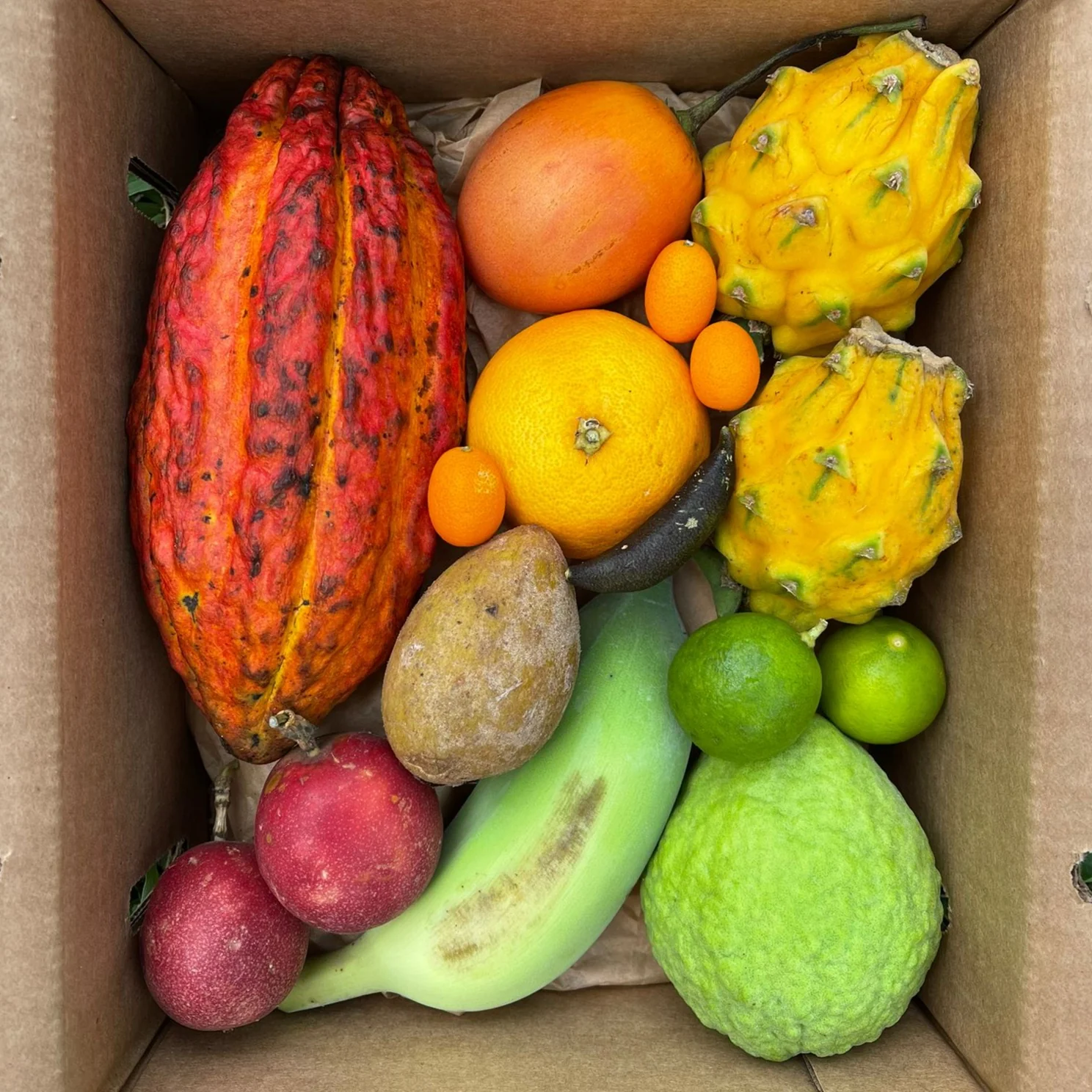 Variety Box - Image 17