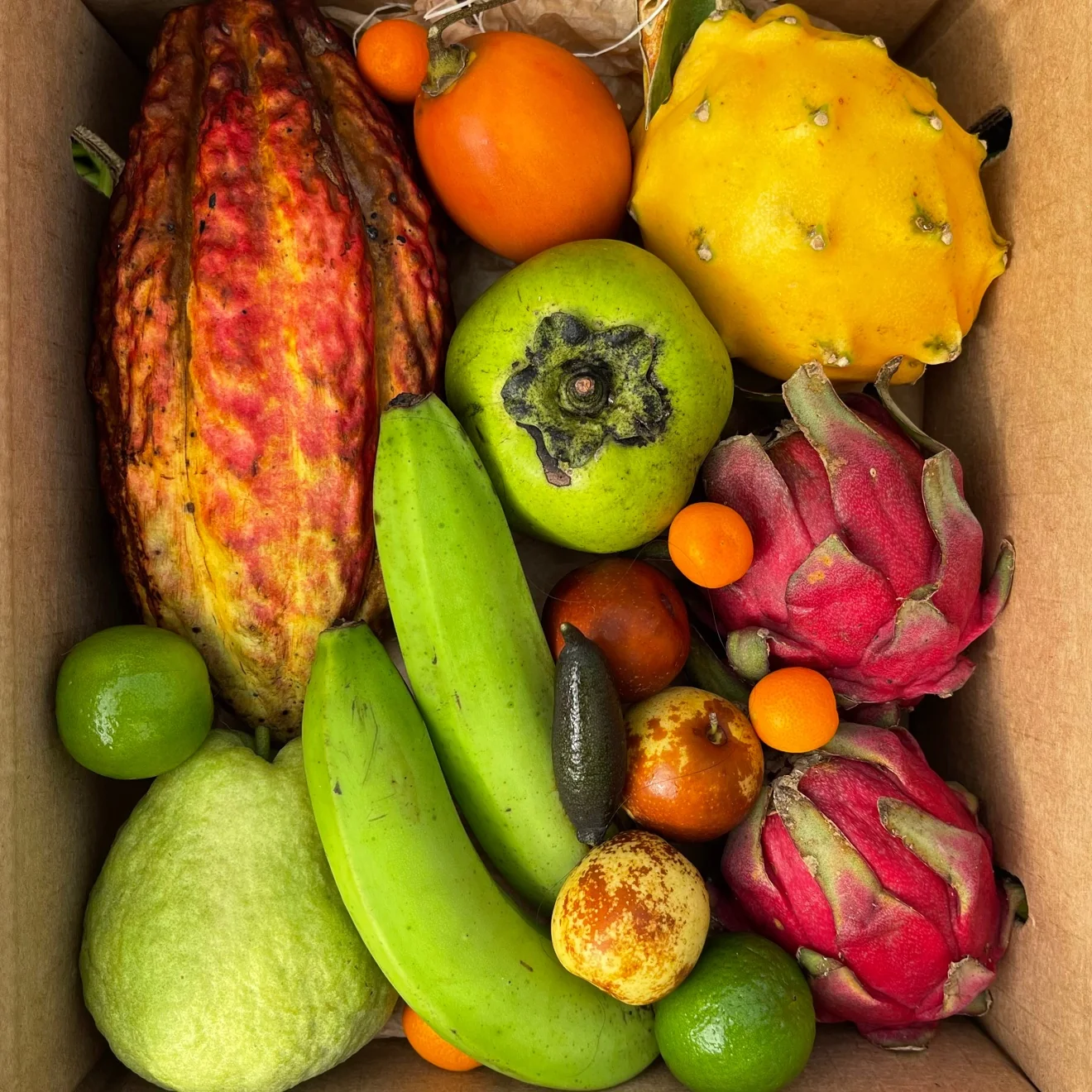 Variety Box - Image 19