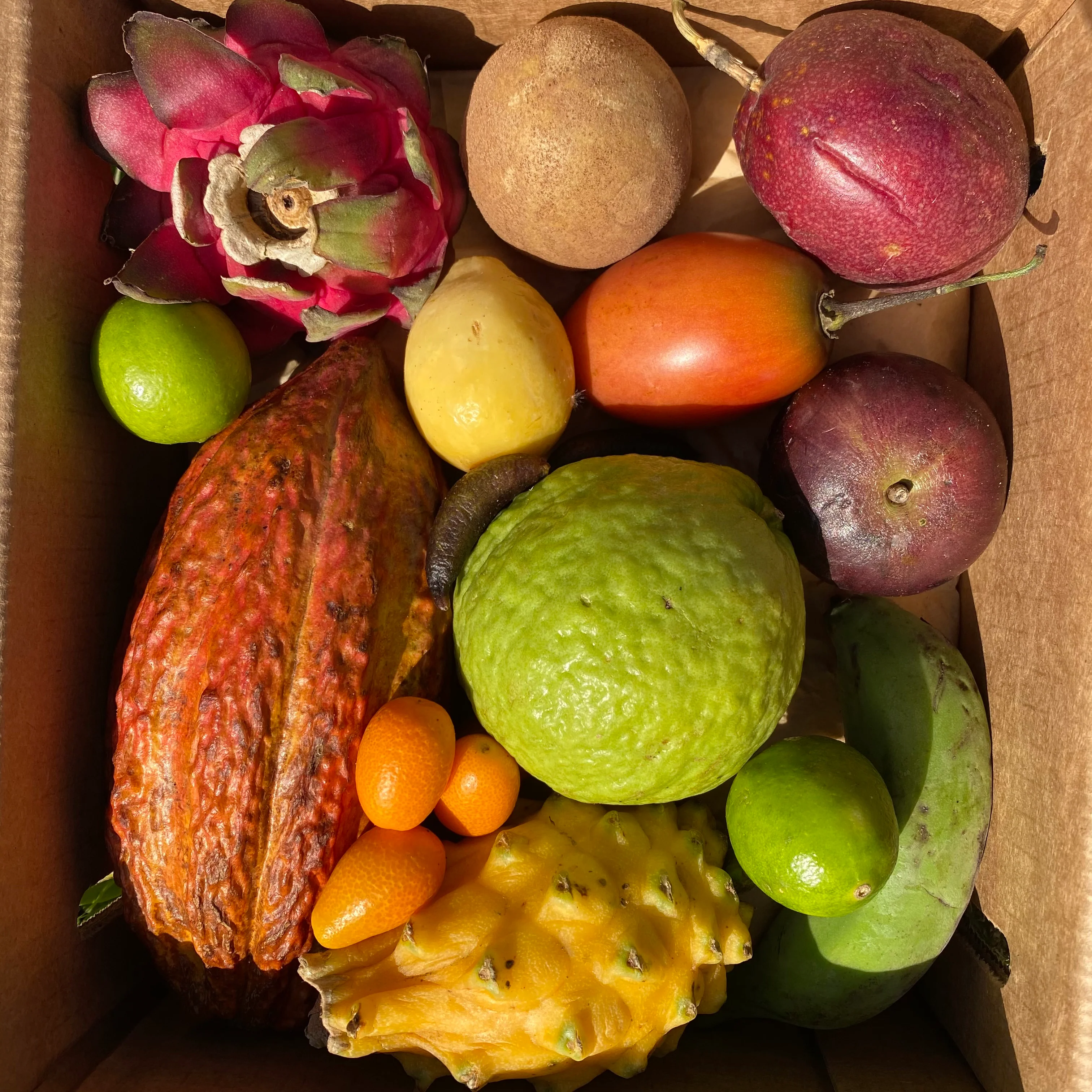 Variety Box - Image 20