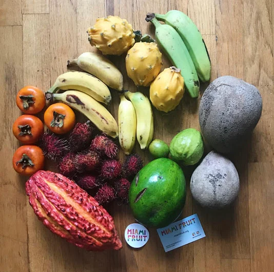Variety Box - Image 23