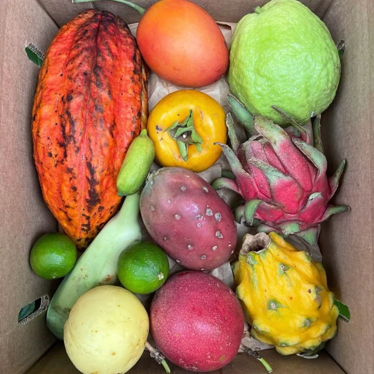 Variety Box - Image 25