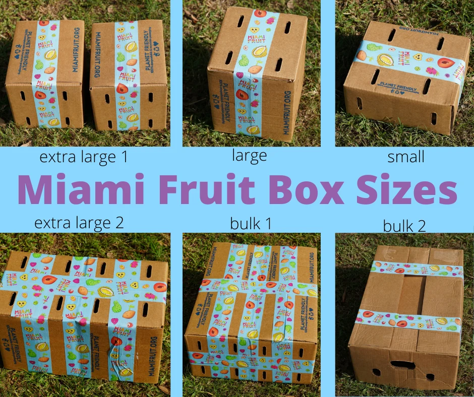 Variety Box - Image 4