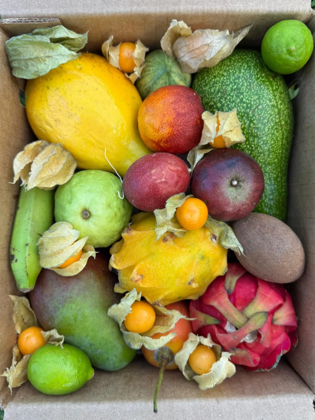 Variety Box - Image 5