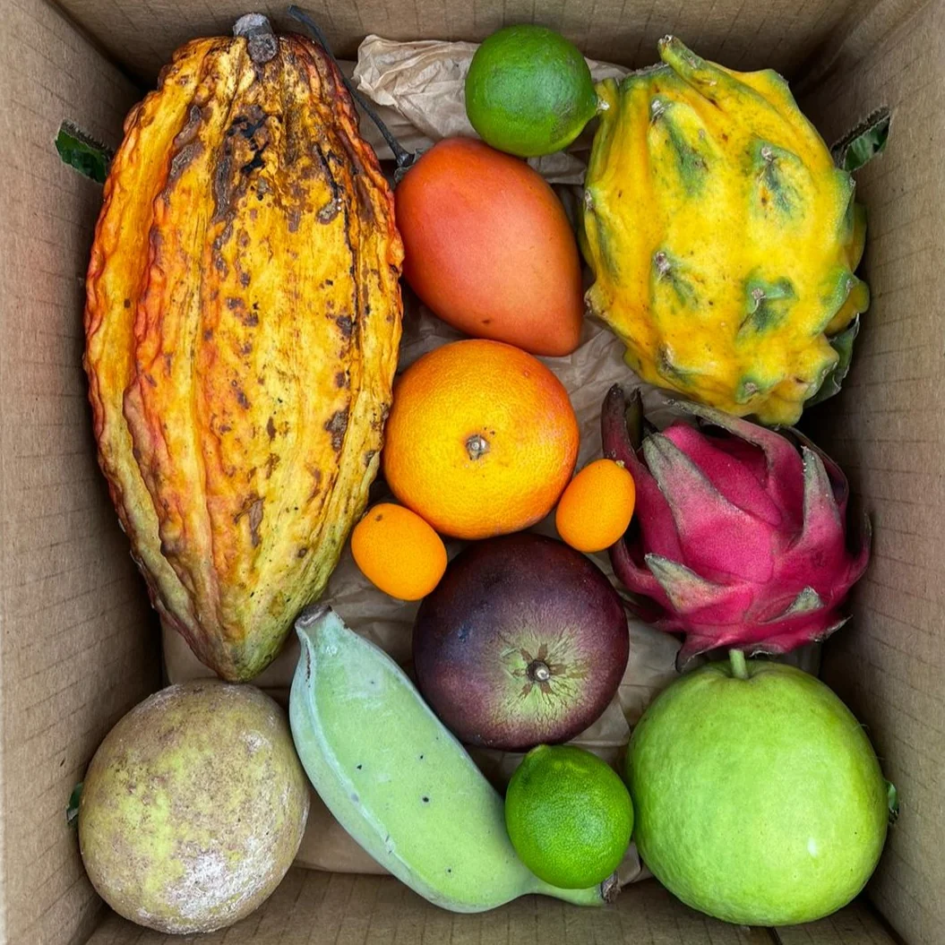 Variety Box - Image 6