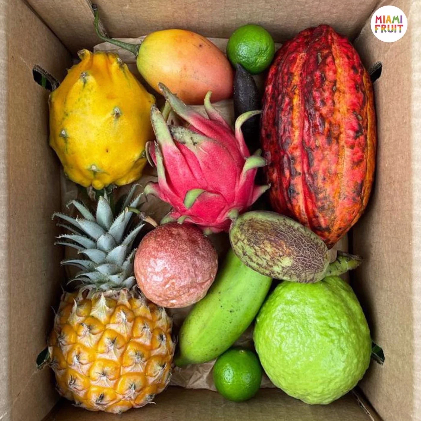 Variety Box - Image 7