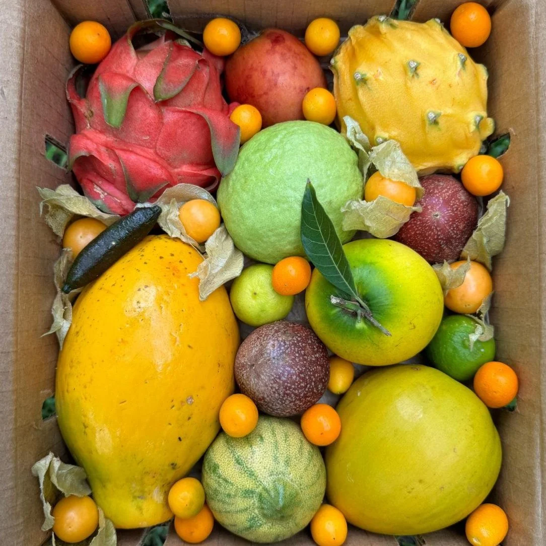 Variety Box - Image 8