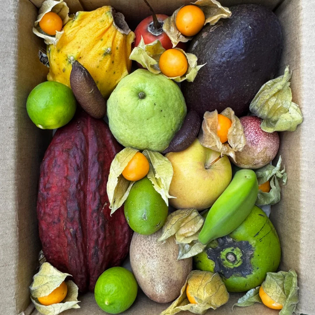Variety Box - Image 9
