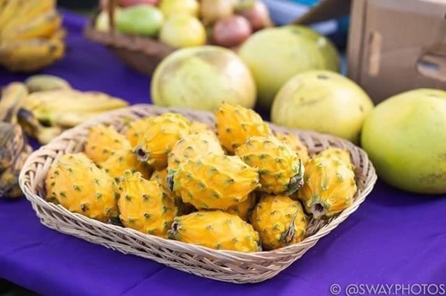 Yellow Dragonfruit (Pitaya) - Image 10
