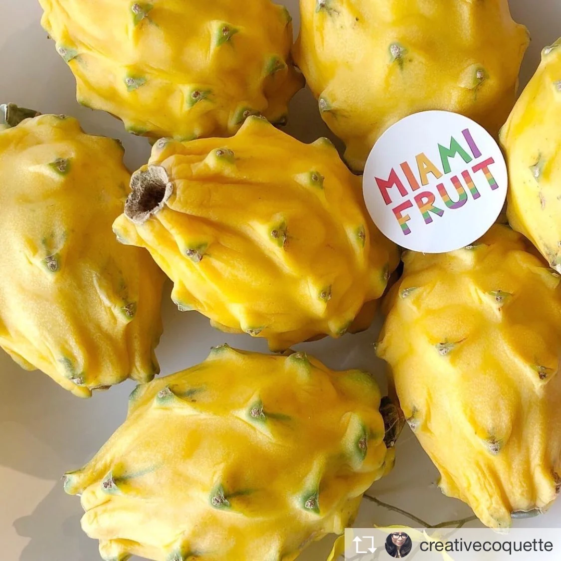Yellow Dragonfruit (Pitaya) - Image 14