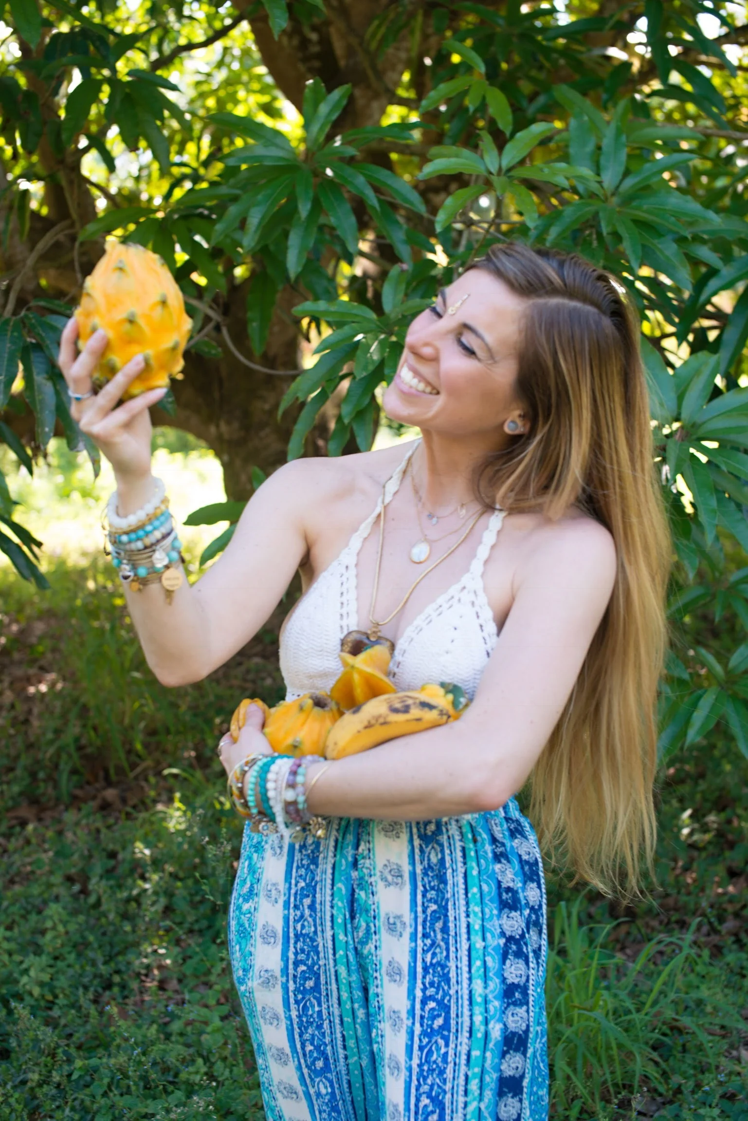 Yellow Dragonfruit (Pitaya) - Image 19