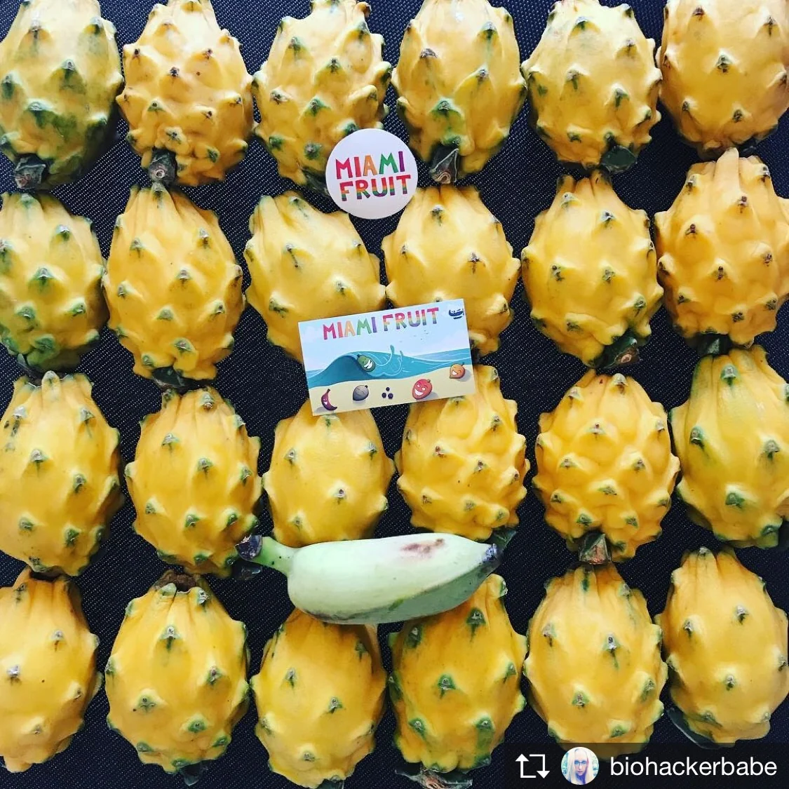 Yellow Dragonfruit (Pitaya) - Image 4