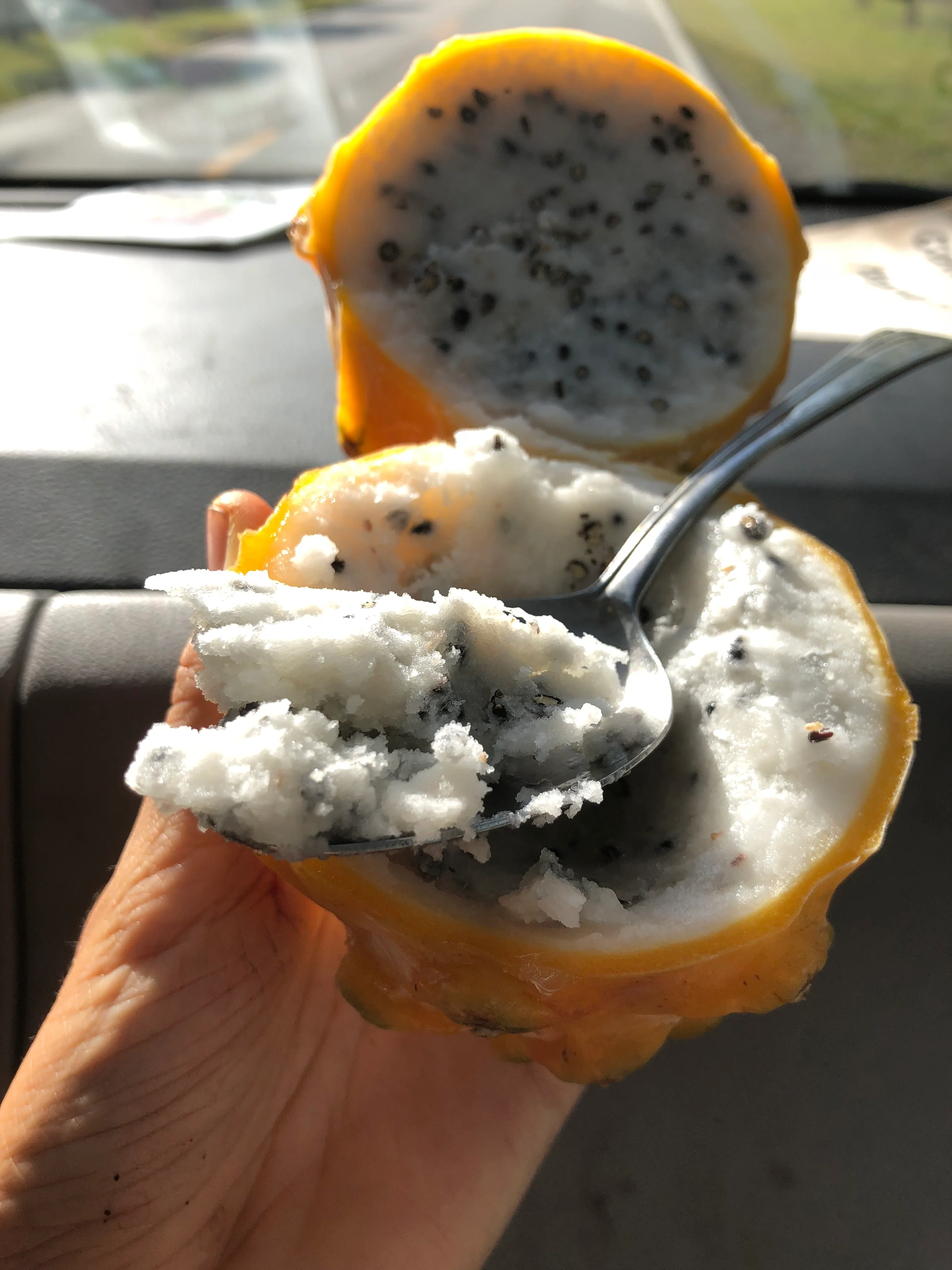 Yellow Dragonfruit (Pitaya) - Image 7